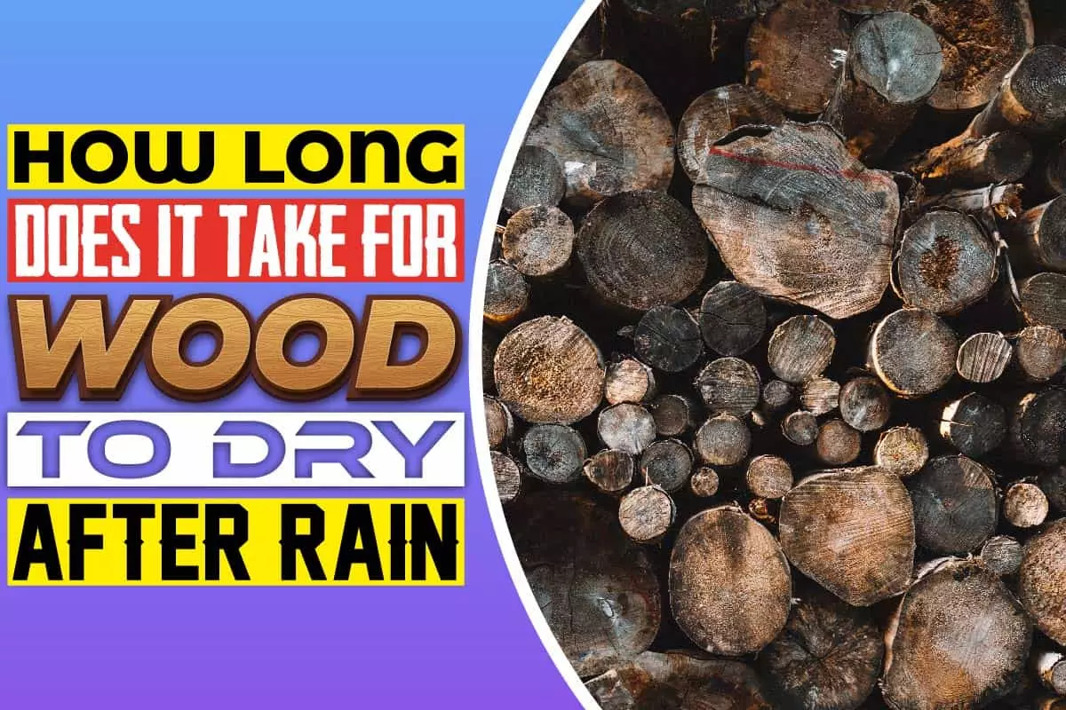 Check Out How Long Does It Take For Wood To Dry After Rain